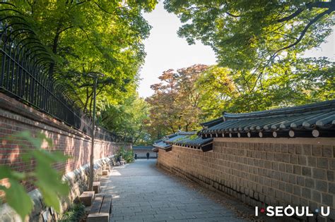 덕수궁 돌담길, 역사와 현대의 교차로